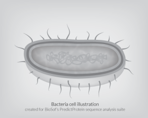 Bacteria Cell Illustration